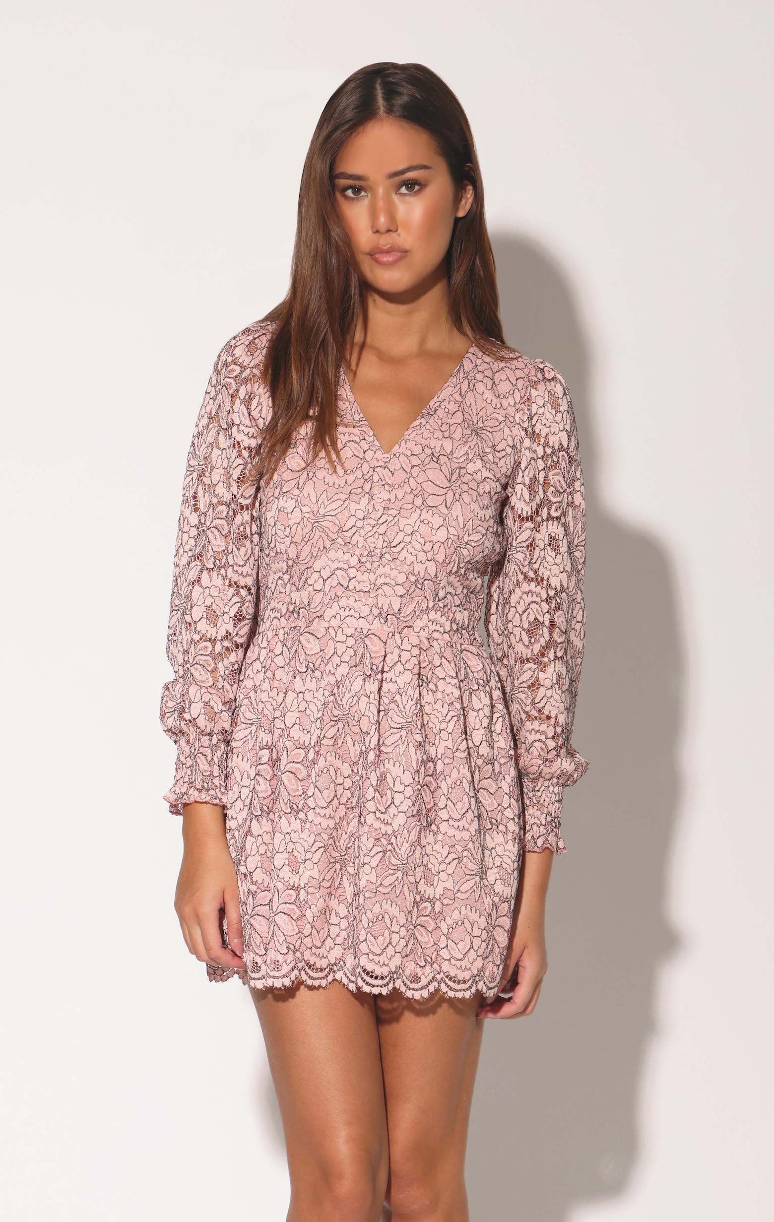 Adaline Dress, Windsor Lace Blush – Walter Baker