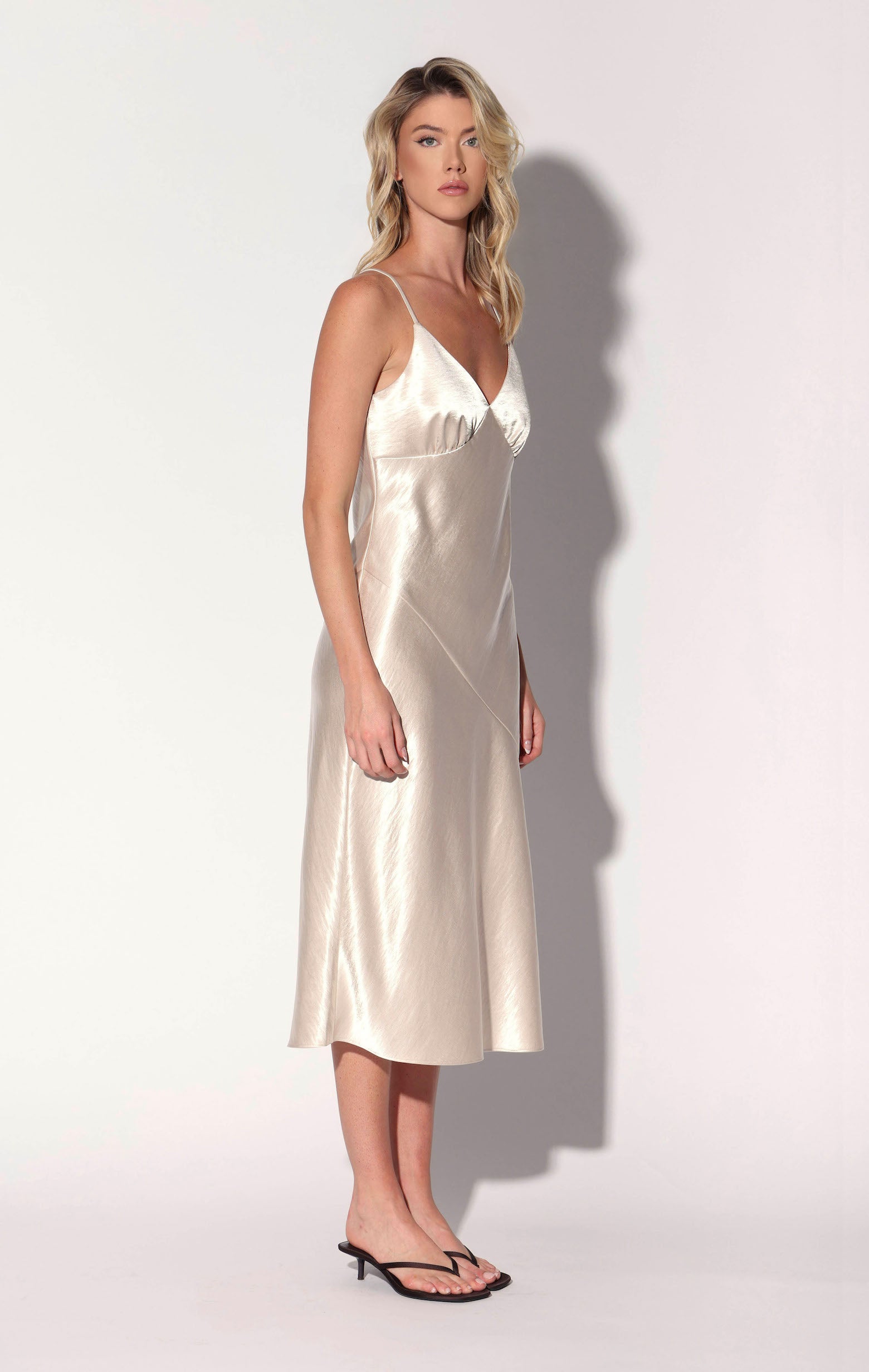 Bristol Dress, Champagne