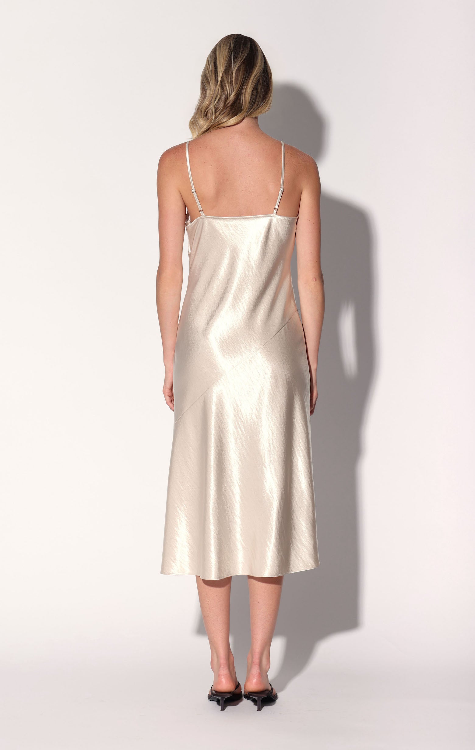 Bristol Dress, Champagne