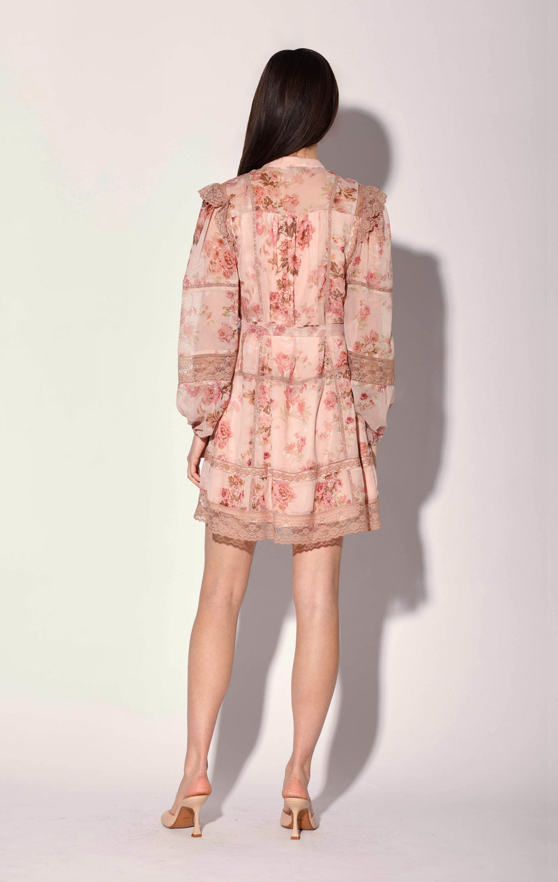 Angelica Dress, Blush Rose