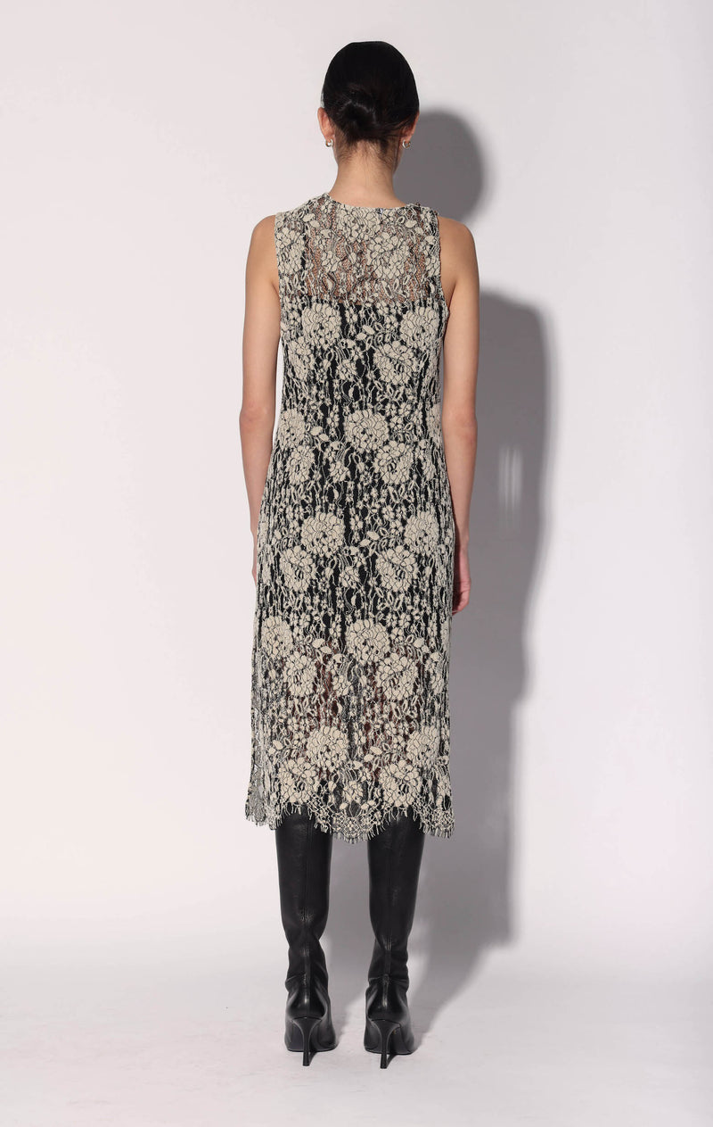 knee length dresses for ladies Deana Dress, Ivory Black Lace