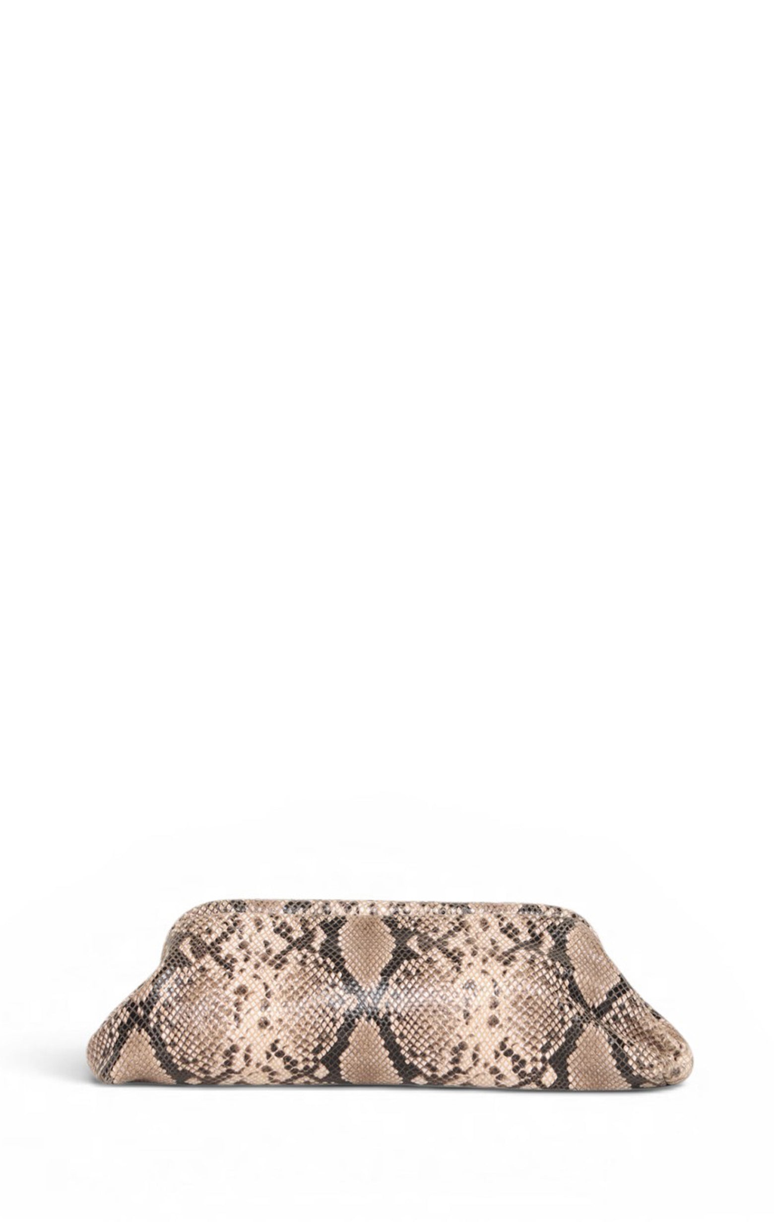 Wren Clutch, Brown Snake