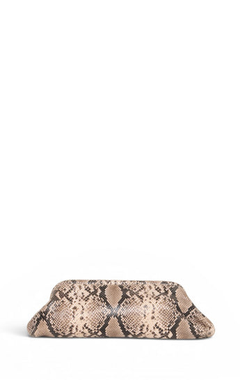 Wren Clutch, Brown Snake