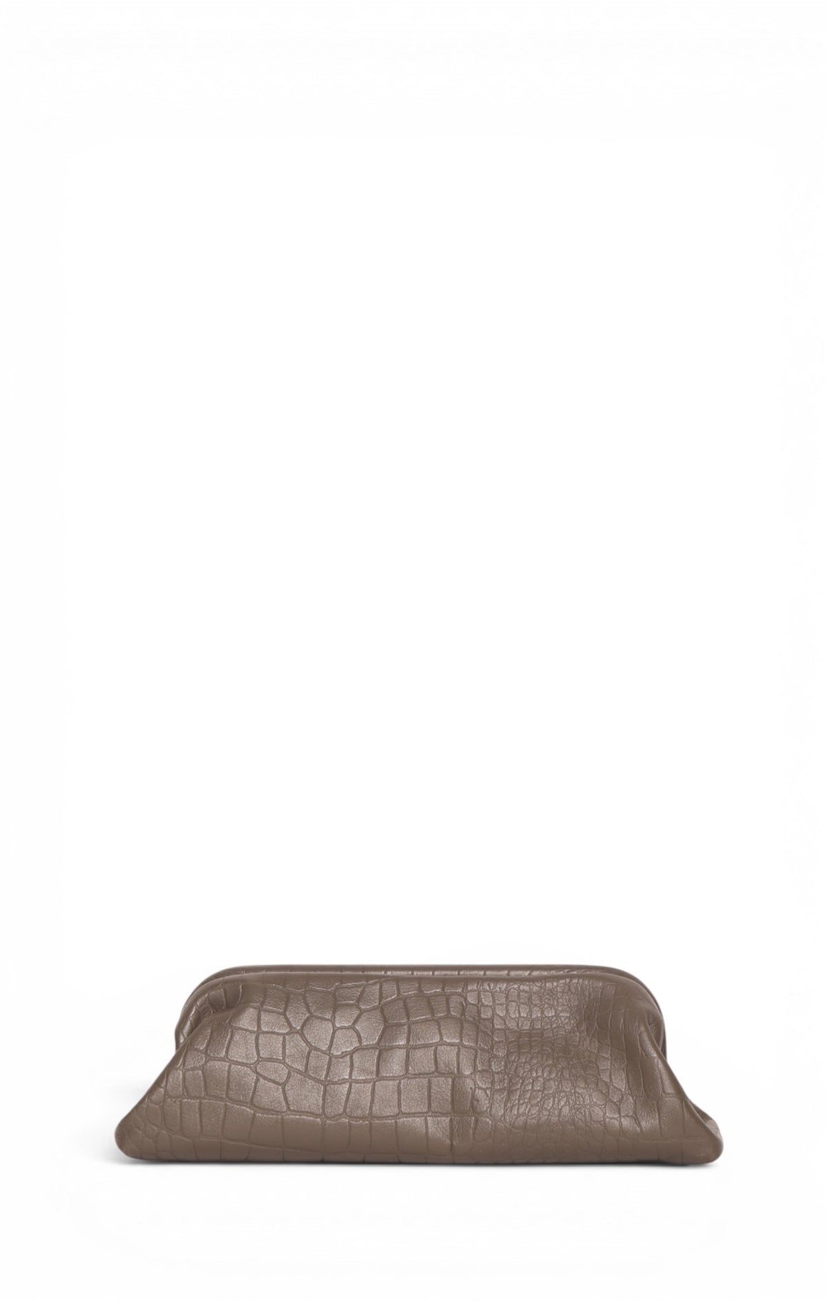 Wren Clutch, Mushroom Croc