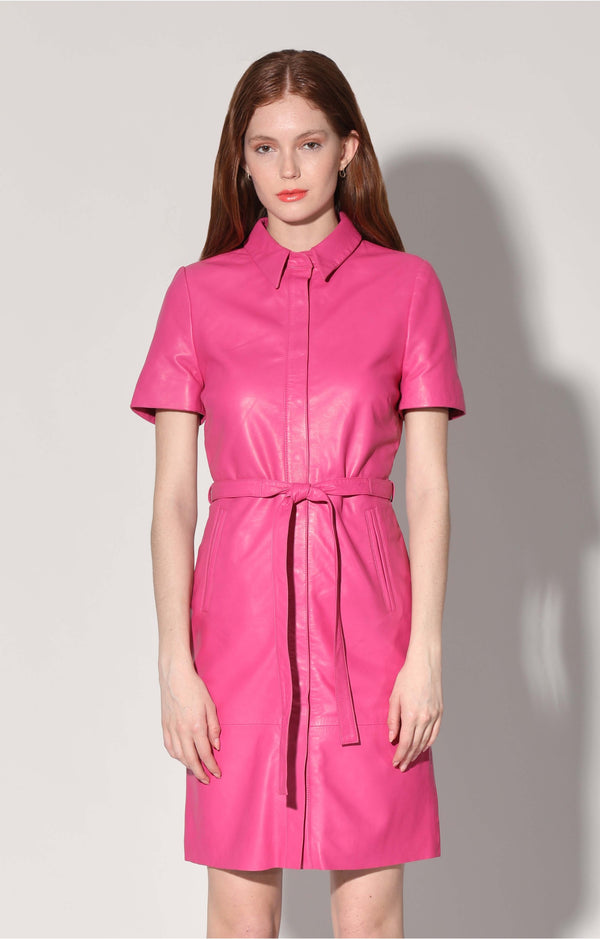 Chloe Dress, Bright Pink - Leather